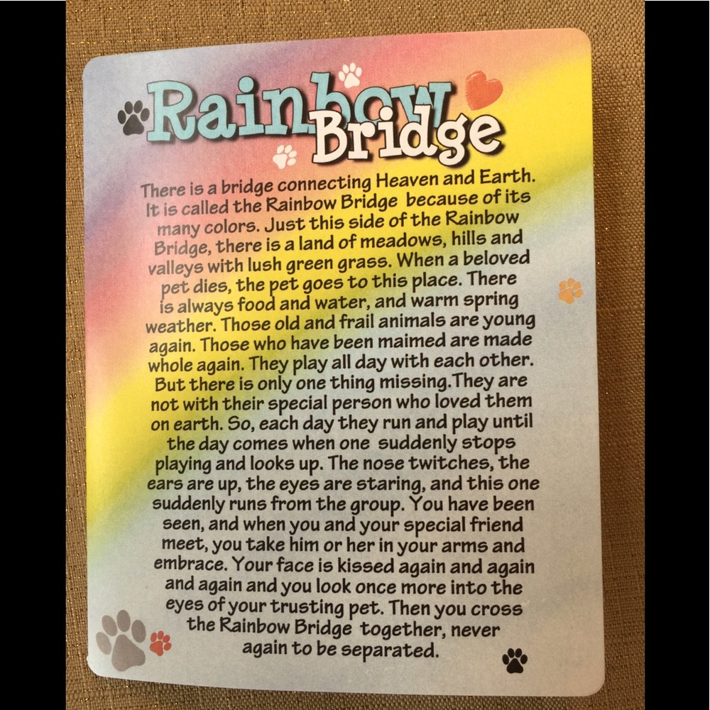 🐾🐾 The Rainbow 🌈 Bridge 🐾🐾